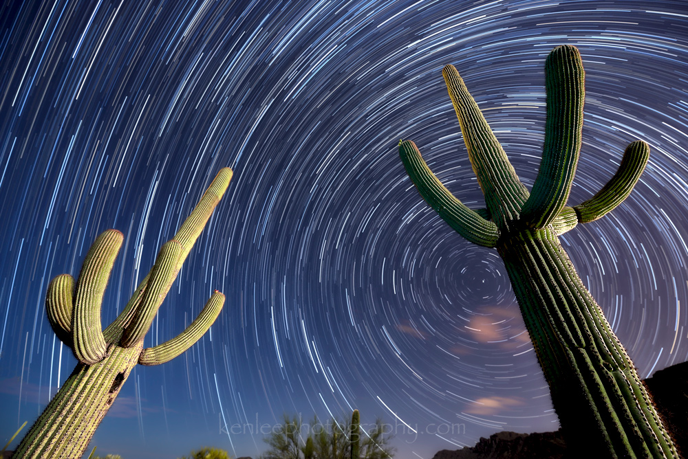 Star trails behind saguaros. Ken Lee Photography.