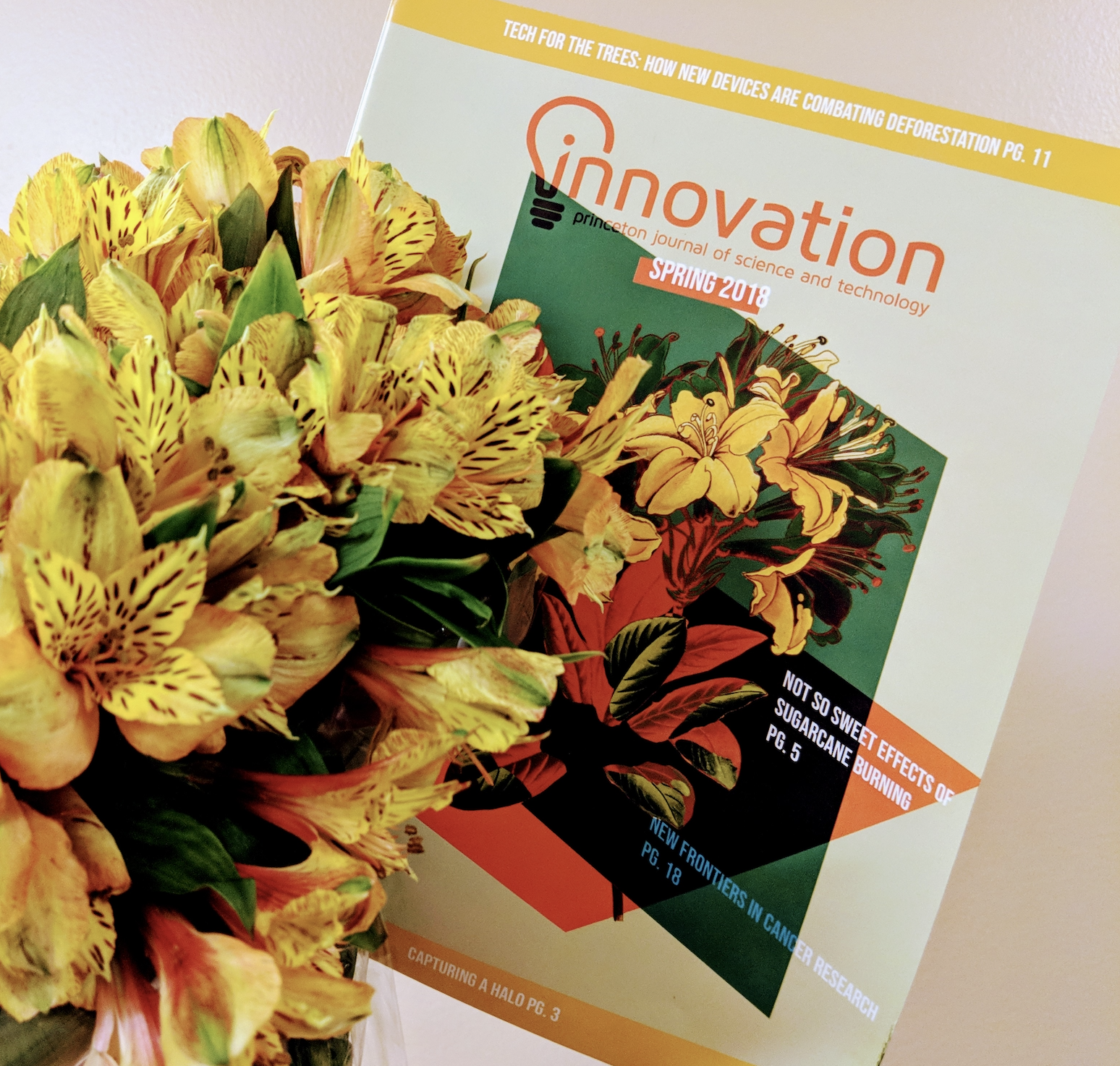 Yellow flowers and print copy of Innovation magazine.